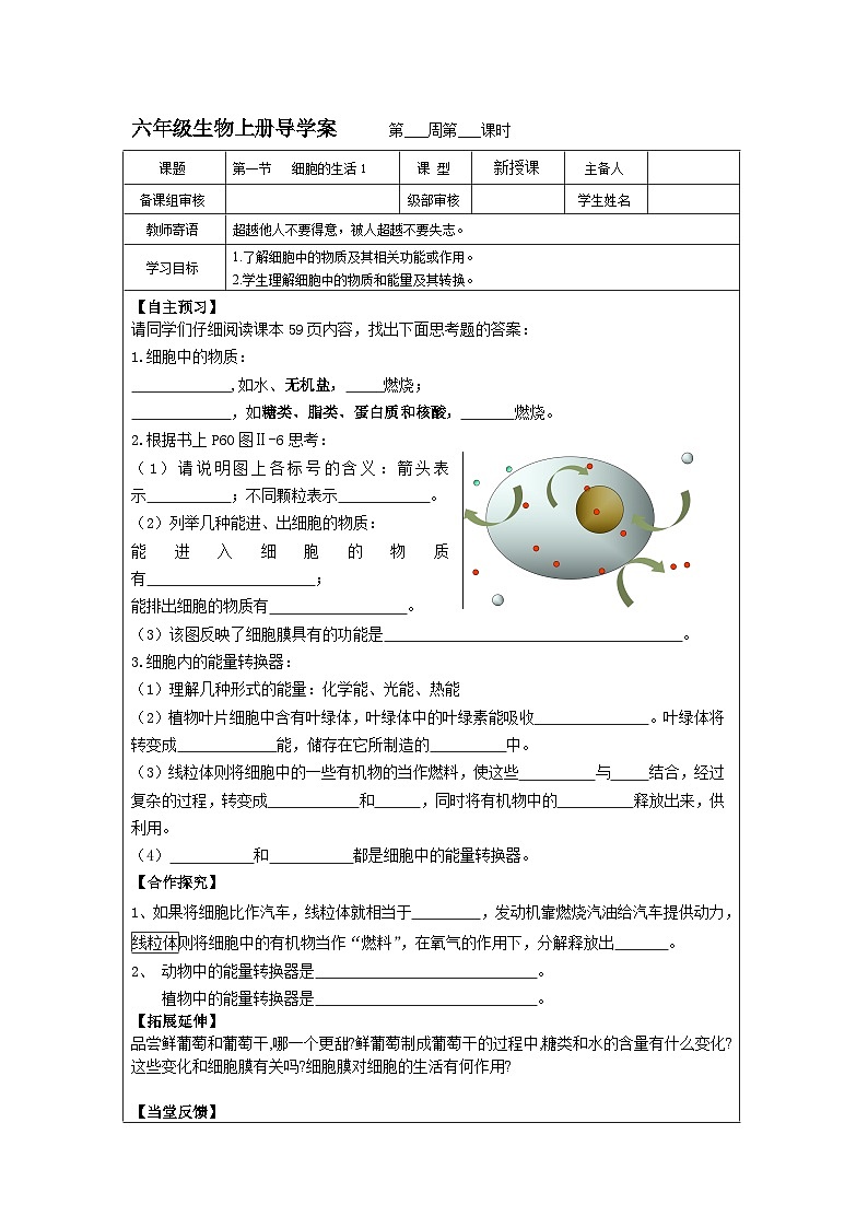 鲁科版(五四学制)初中生物 六年级上册2.1细胞的生活导学案(无答案)01