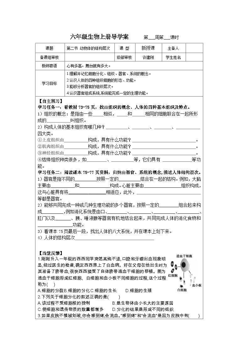 鲁科版（五四学制）初中生物 六年级上册第二节 动物体的结构层次导学案（无答案）01