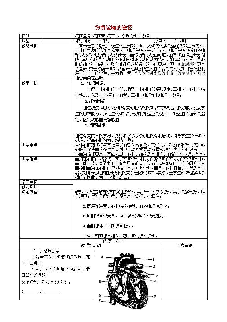 鲁科版(五四学制)初中生物 七年级上册 4.4.3物质运输的途径教案01