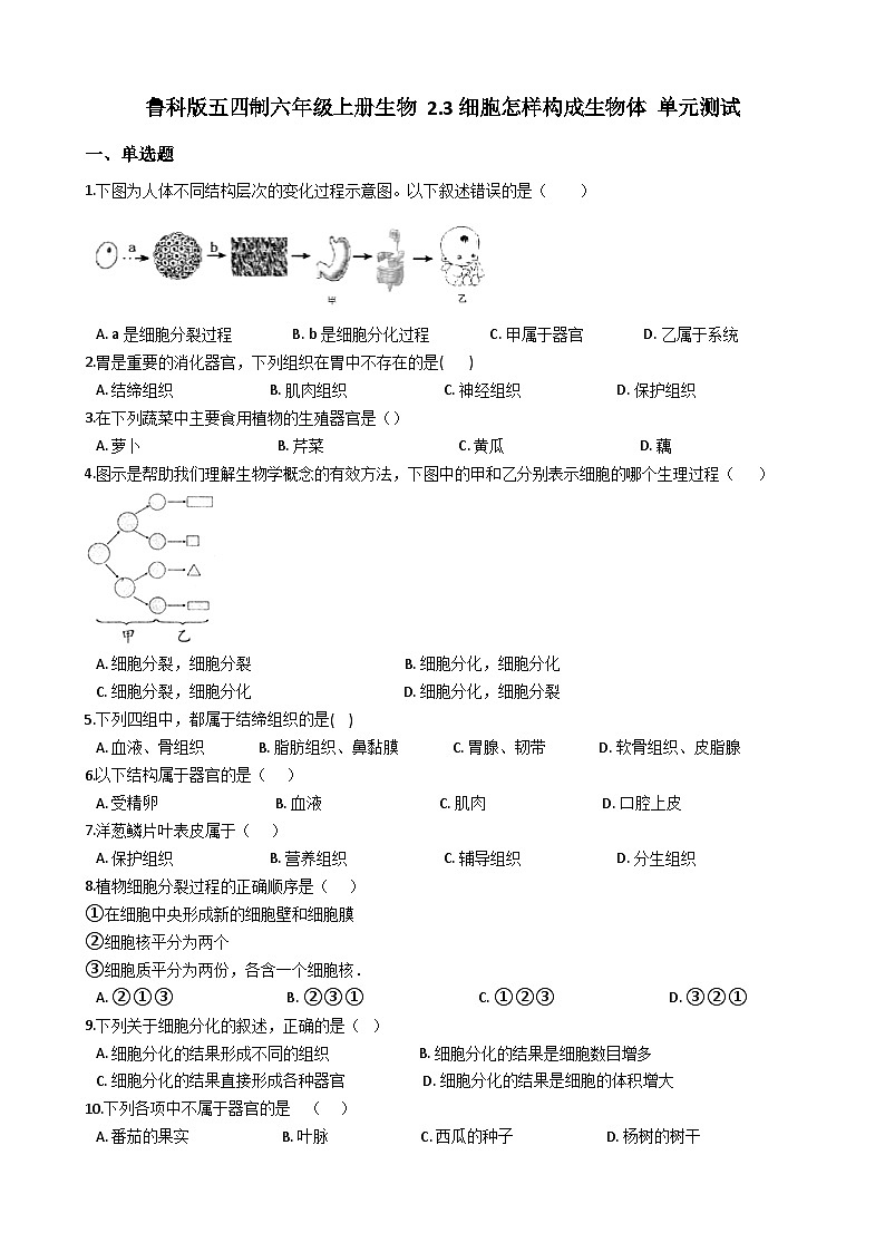 鲁科版(五四学制)初中生物 六年级上册 第二单元 第三章 细胞怎样构成生物体 单元测试(解析版)01