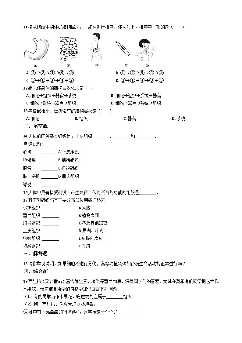 鲁科版(五四学制)初中生物 六年级上册 第二单元 第三章 细胞怎样构成生物体 单元测试(解析版)02