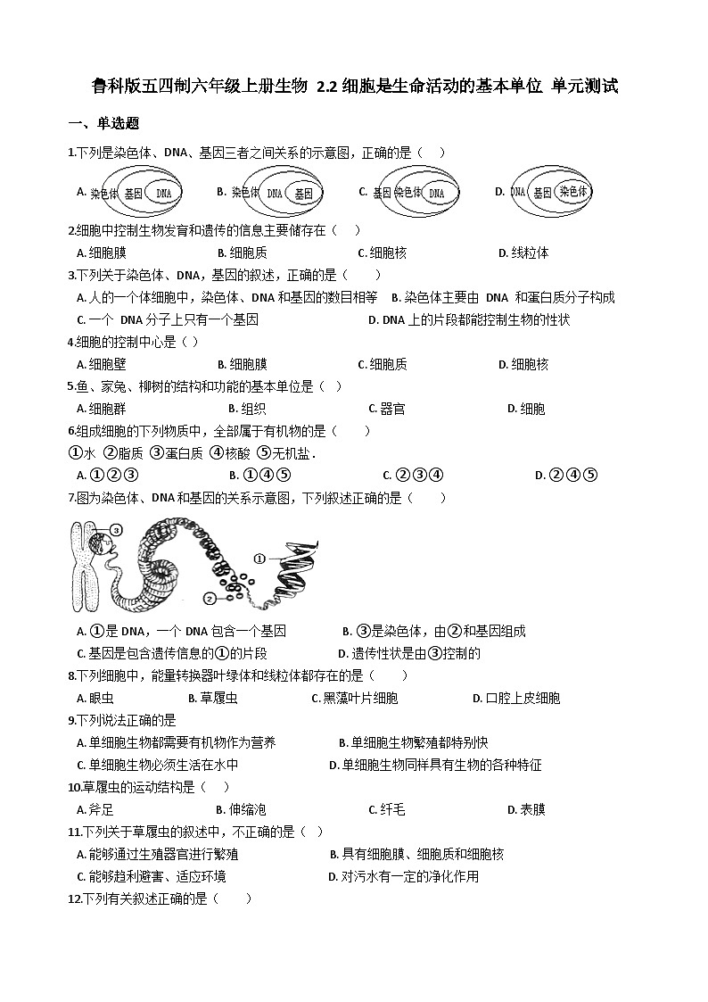 鲁科版(五四学制)初中生物 六年级上册 第二单元 第二章 细胞是生命活动的基本单位 单元测试(解析版)01