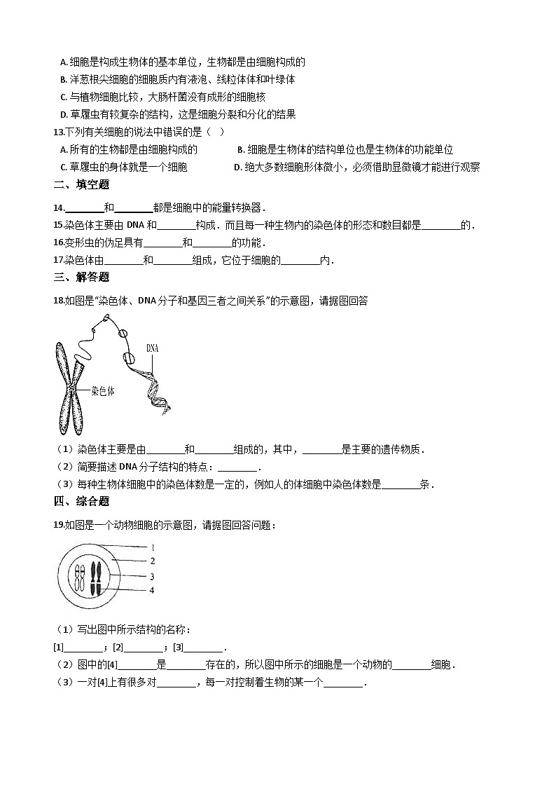 鲁科版(五四学制)初中生物 六年级上册 第二单元 第二章 细胞是生命活动的基本单位 单元测试(解析版)02
