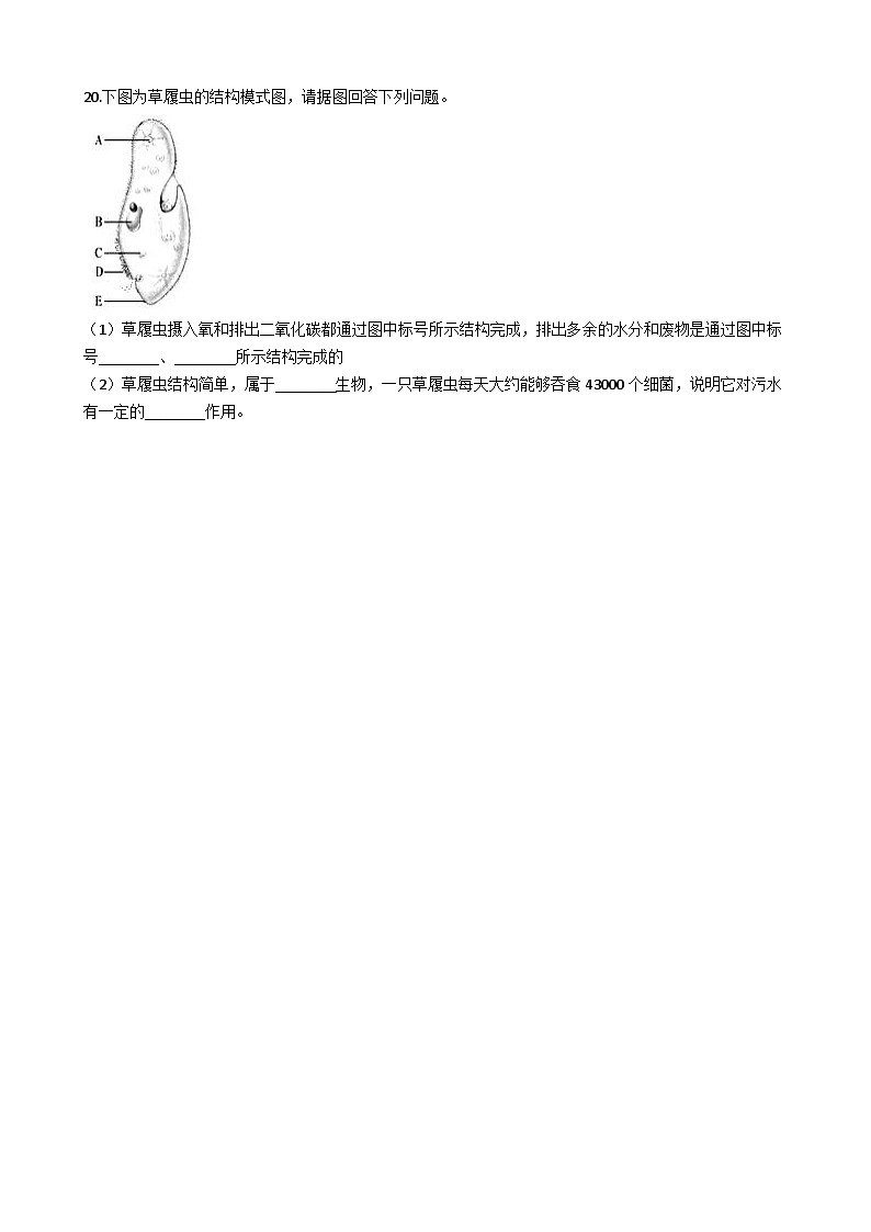 鲁科版(五四学制)初中生物 六年级上册 第二单元 第二章 细胞是生命活动的基本单位 单元测试(解析版)03