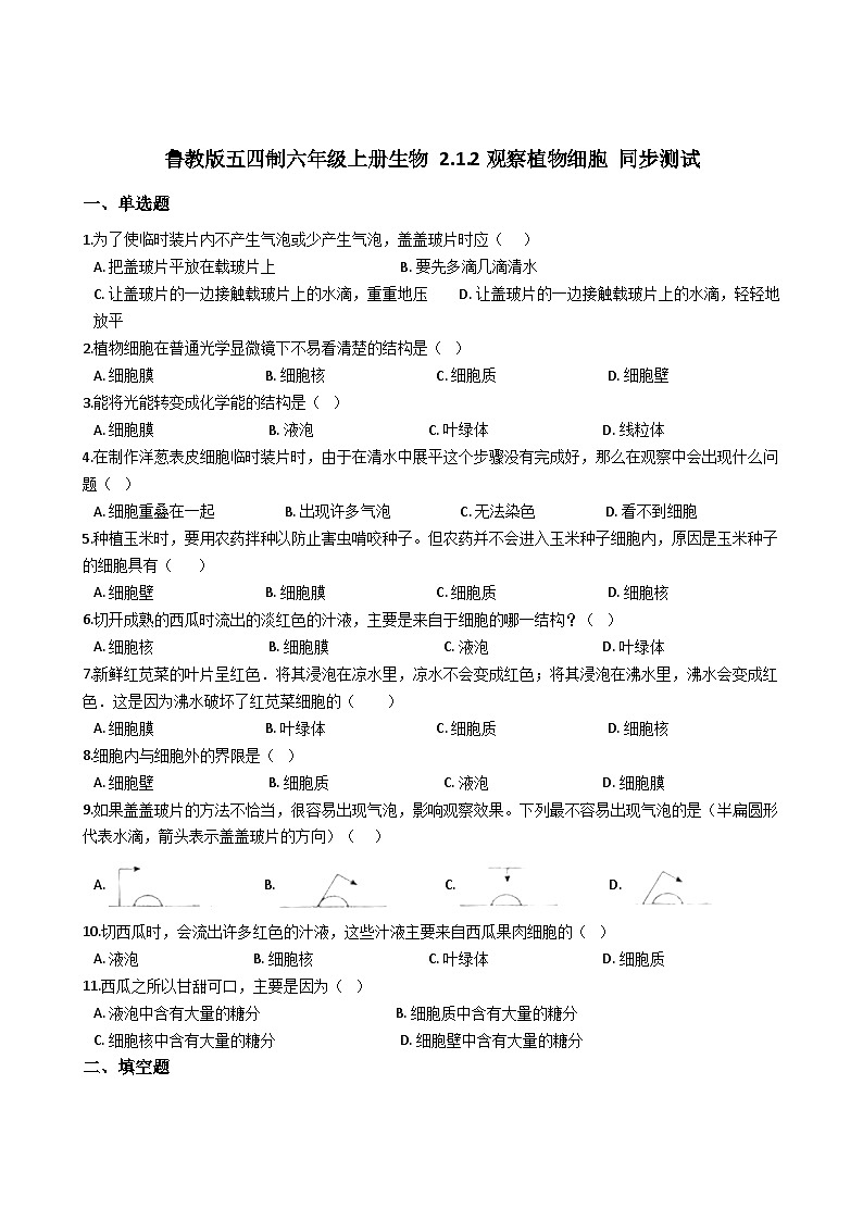 鲁科版(五四学制)初中生物 六年级上册 2.1.2 观察植物细胞 同步测试(含解析)01