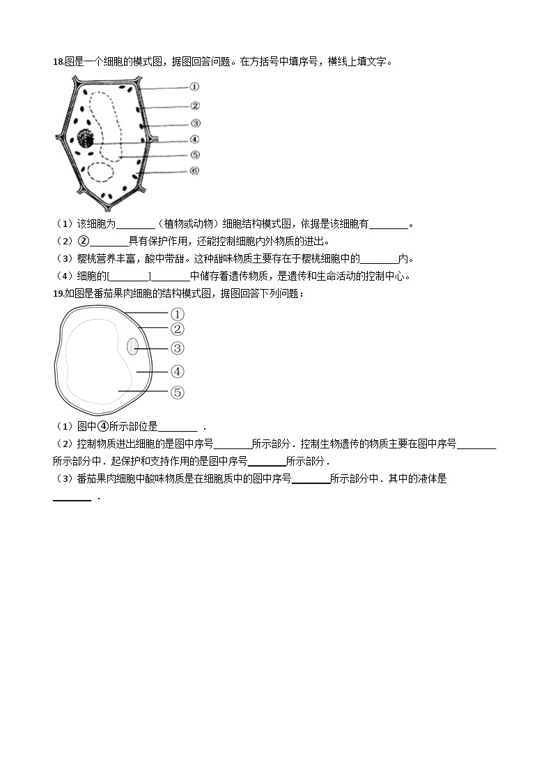 鲁科版（五四学制）初中生物 六年级上册 2.1.2 观察植物细胞 同步测试（含解析）03