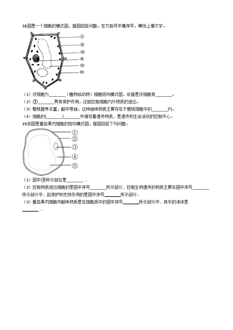 鲁科版(五四学制)初中生物 六年级上册 2.1.2 观察植物细胞 同步测试(含解析)03