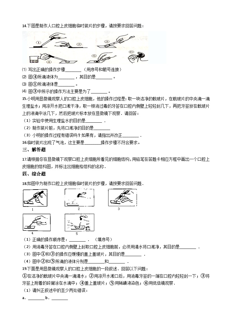 鲁科版（五四学制）初中生物 六年级上册 2.1.3 观察动物细胞 同步测试（含解析）03