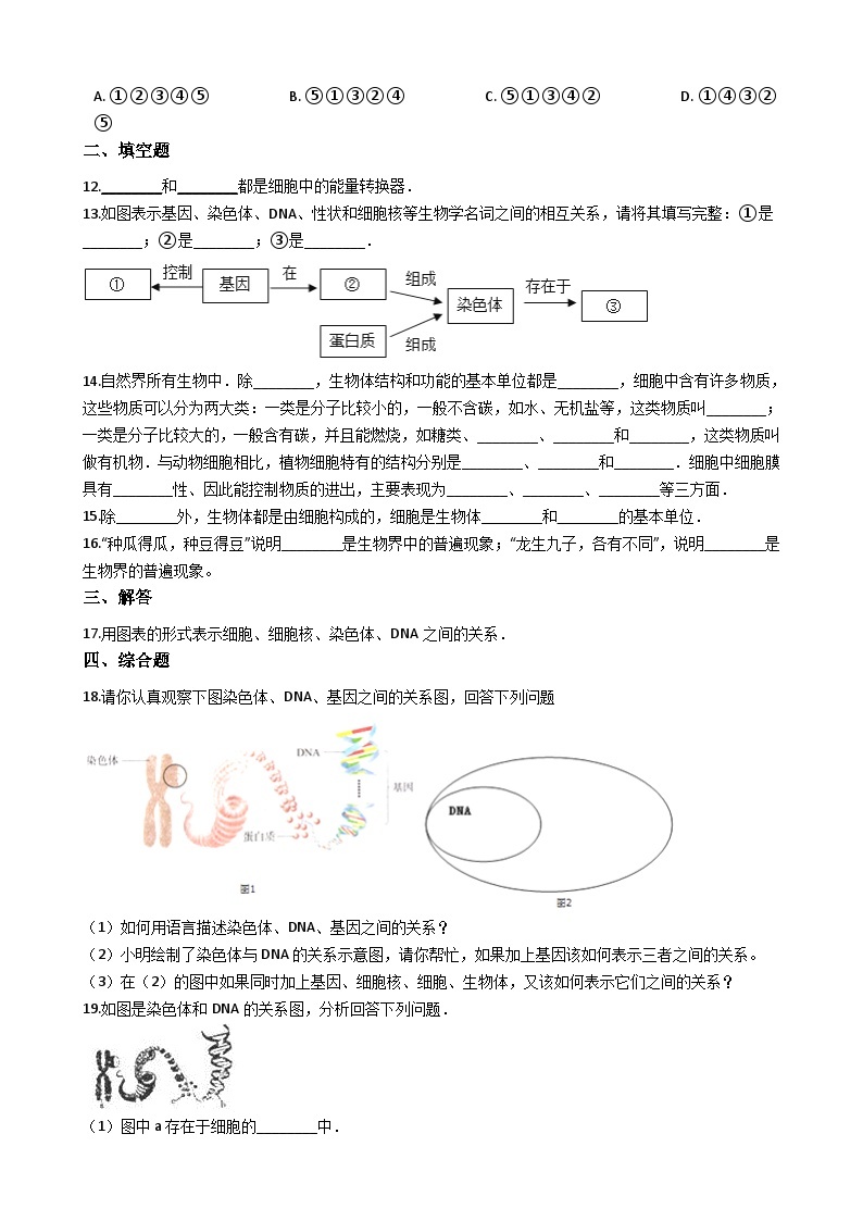 鲁科版（五四学制）初中生物 六年级上册 2.2.1 细胞的生活 同步测试（含解析）02