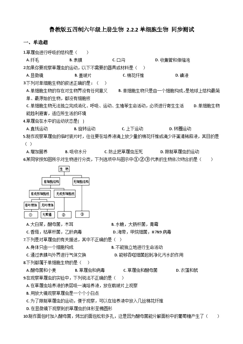 鲁科版（五四学制）初中生物 六年级上册 2.2.2 单细胞生物 同步测试（含解析）01