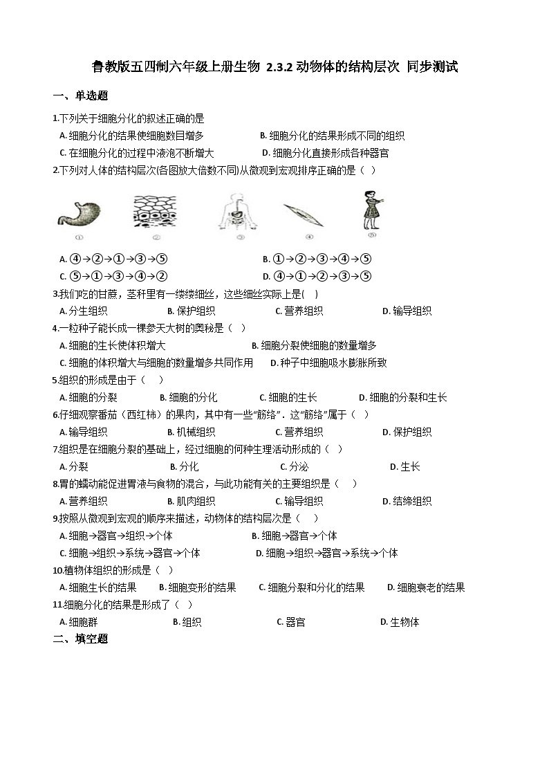 鲁科版（五四学制）初中生物 六年级上册 2.3.2 动物体的结构层次 同步测试（含解析）01