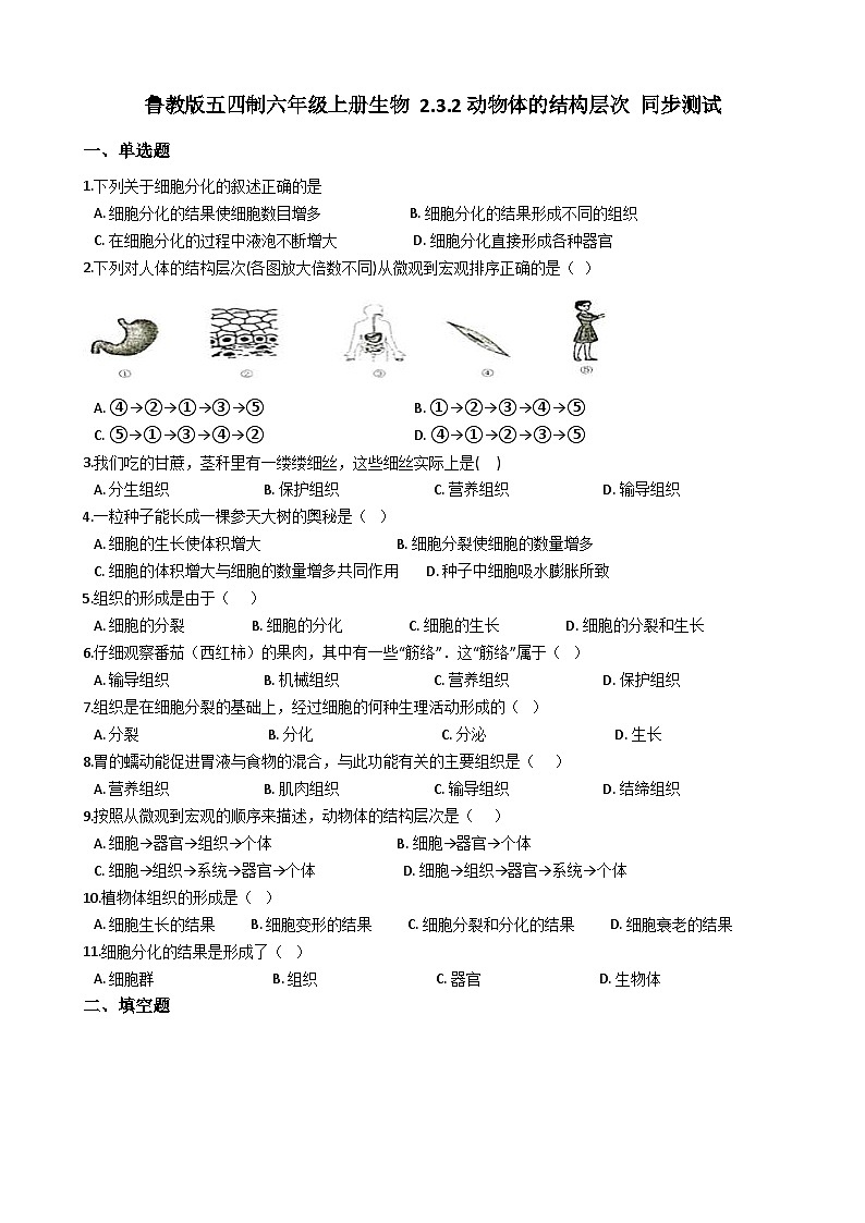 鲁科版(五四学制)初中生物 六年级上册 2.3.2 动物体的结构层次 同步测试(含解析)01