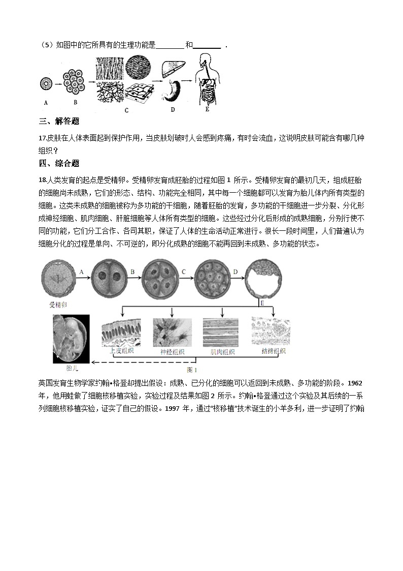 鲁科版(五四学制)初中生物 六年级上册 2.3.2 动物体的结构层次 同步测试(含解析)03