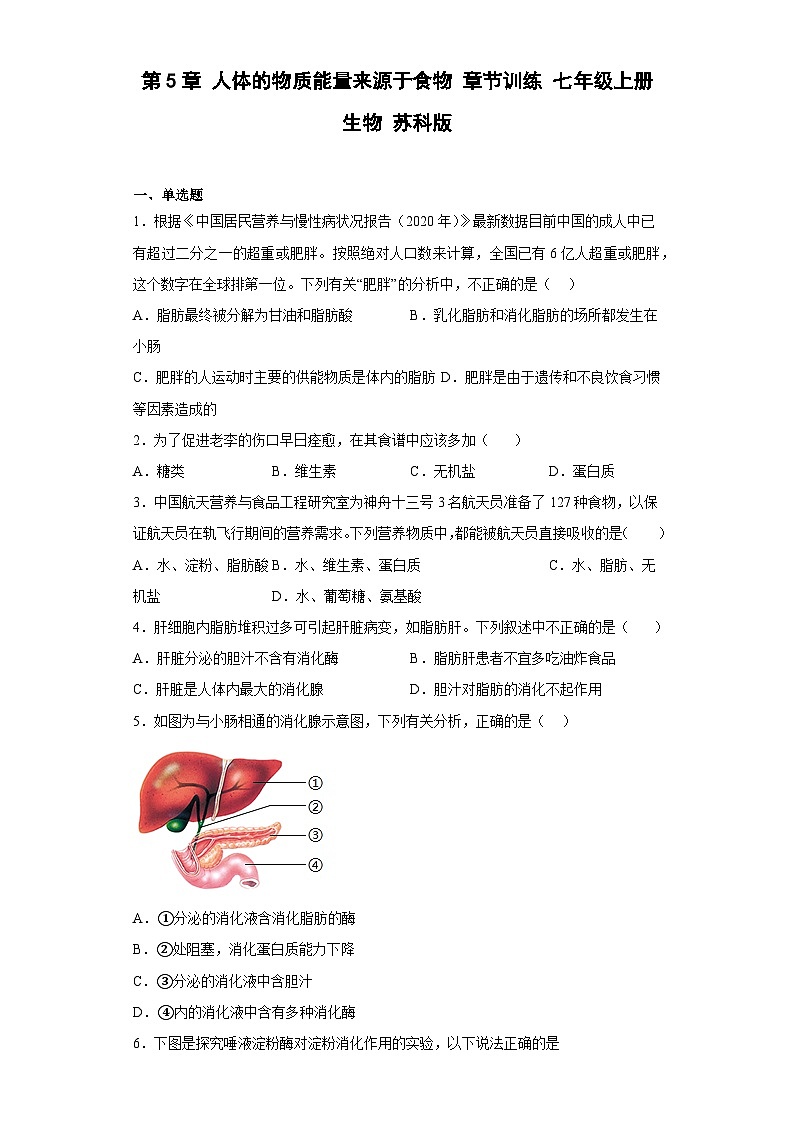 苏科版 初中生物 七年级上册 第5章 人体的物质能量来源于食物 章节训练 (含答案)第1页