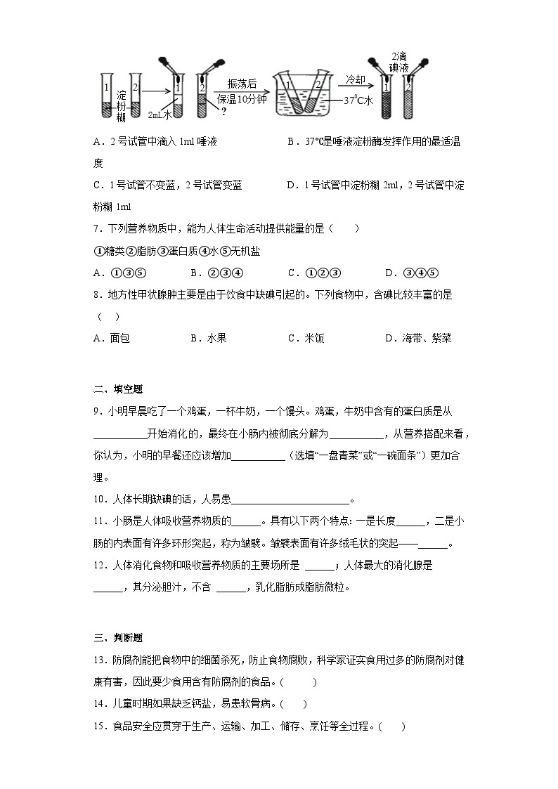 苏科版 初中生物 七年级上册 第5章 人体的物质能量来源于食物 章节训练 （含答案）02