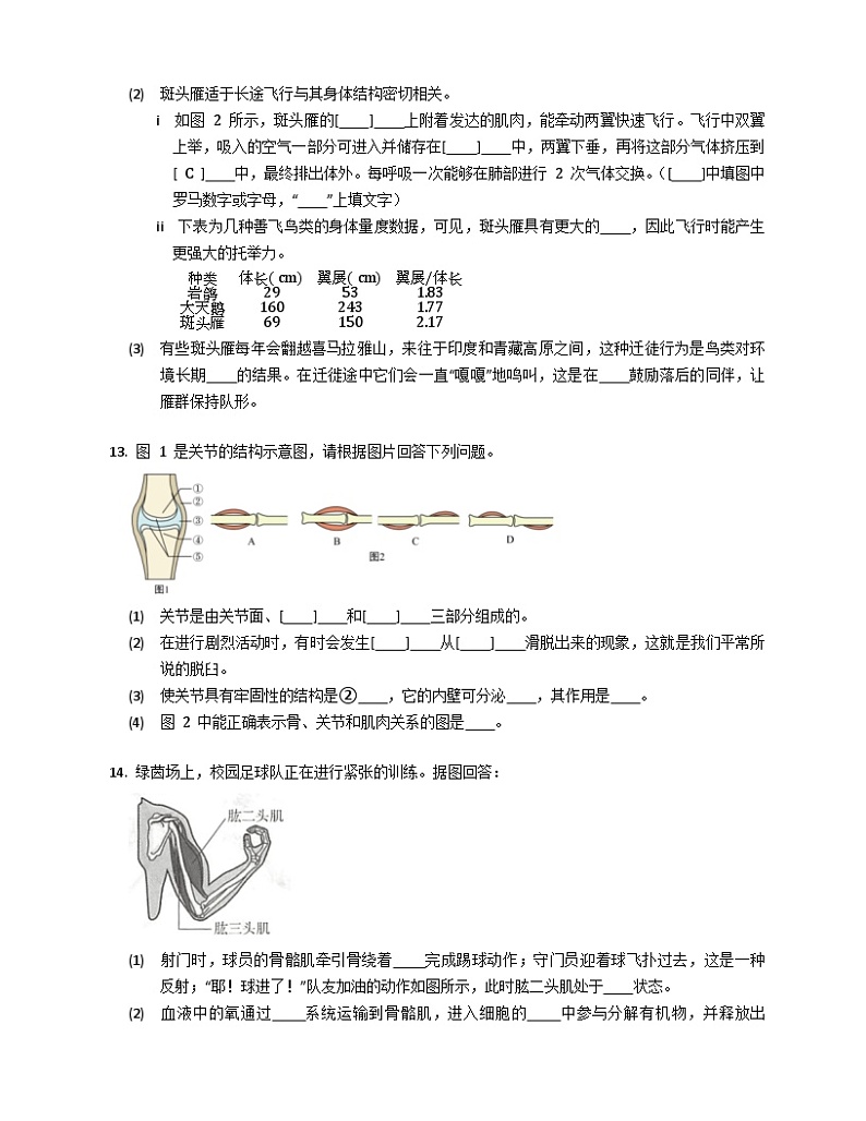 苏科版 初中生物 八年级上册 6.17动物的运动与行为同步练习(含答案)第3页
