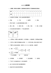 初中生物第二节 人的生殖优秀巩固练习