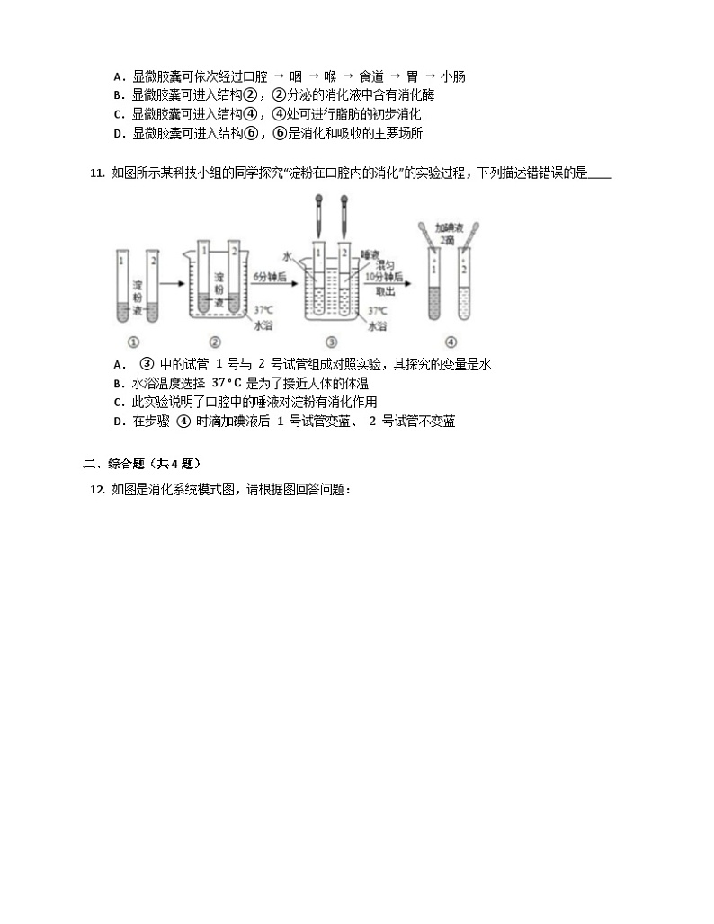 鲁科版(五四学制) 初中生物 七年级上册 4.2.2消化和吸收同步练习(含答案)第3页
