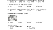 初中生物鲁科版 (五四制)七年级上册第一节 物质运输的载体精品练习题