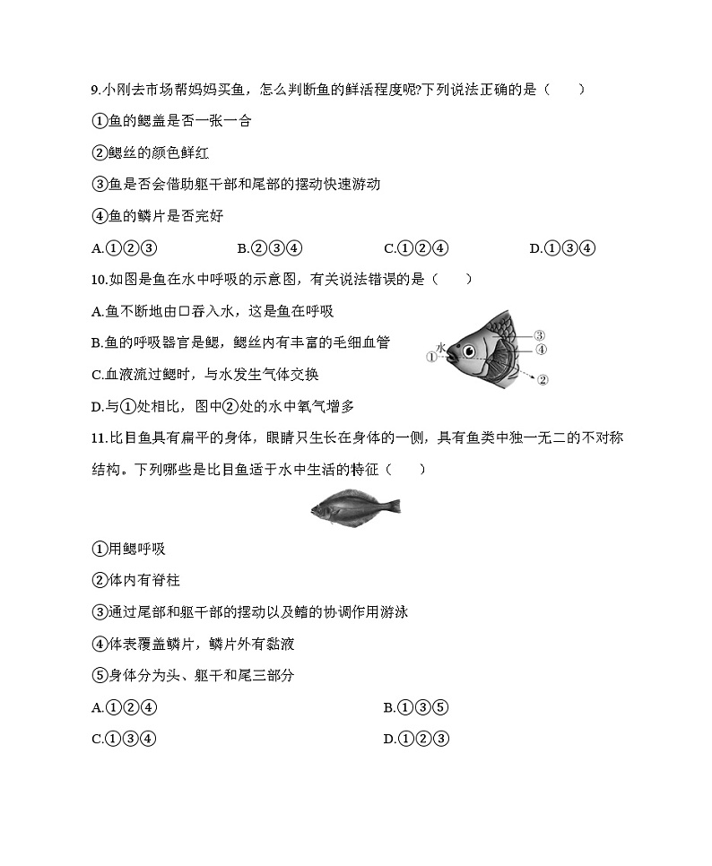 鲁科版(五四学制) 初中生物 八年级上册 7.1.4鱼类同步练习(含解析)03