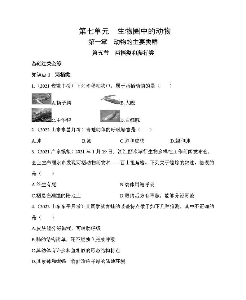 鲁科版(五四学制) 初中生物 八年级上册 7.1.5两栖类和爬行类同步练习(含解析)第1页