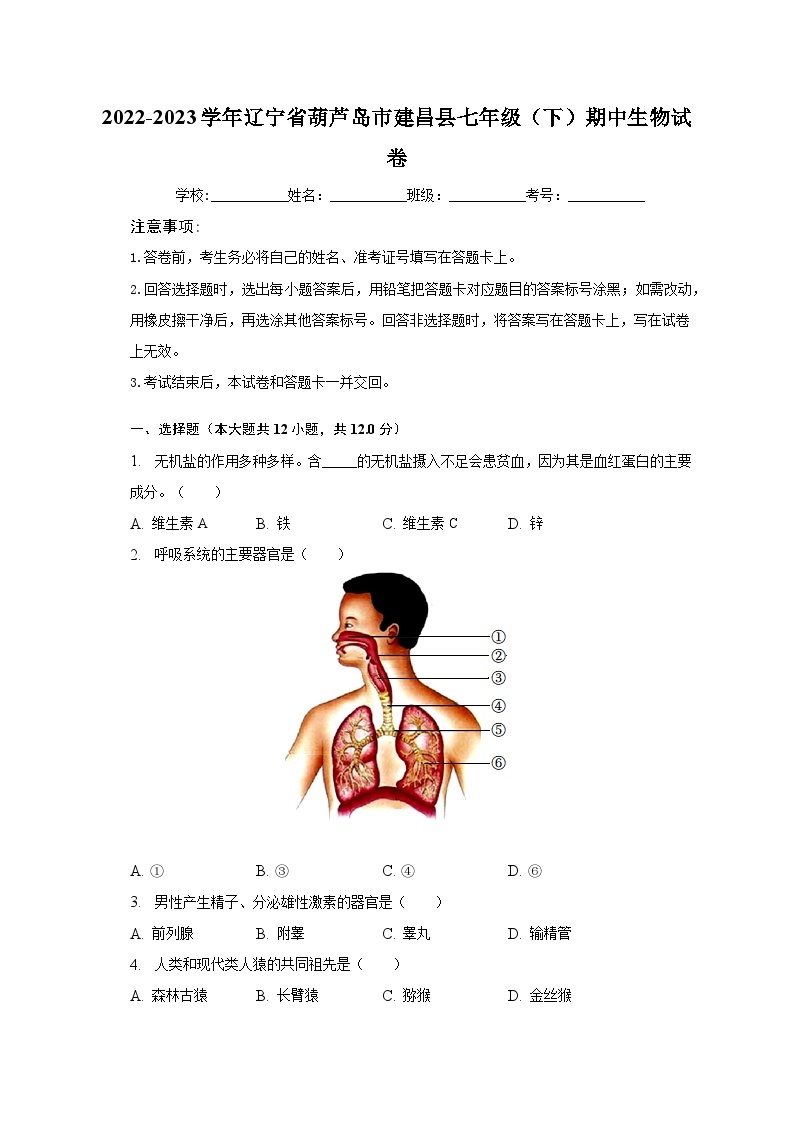 2022-2023学年辽宁省葫芦岛市建昌县七年级（下）期中生物试卷（含解析）01