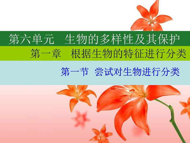 人教版八年级生物上册--1.1尝试对生物进行分类1(精品课件)第1页