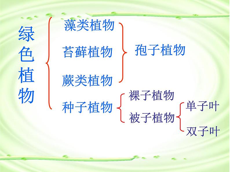 人教版八年级生物上册--1.1尝试对生物进行分类1(精品课件)第5页