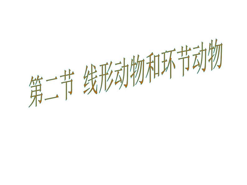 人教版八年级生物上册--1.2 线形动物和环节动物(精品课件)第1页