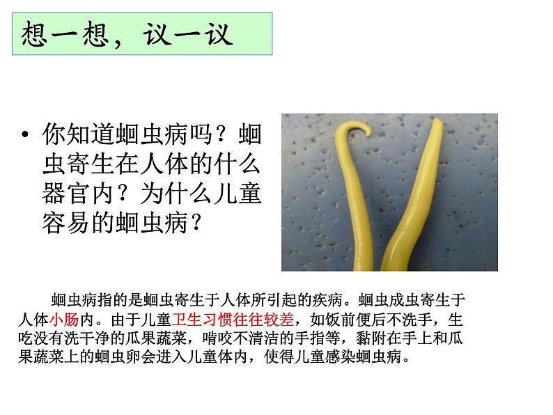 人教版八年级生物上册--1.2 线形动物和环节动物(精品课件)第4页