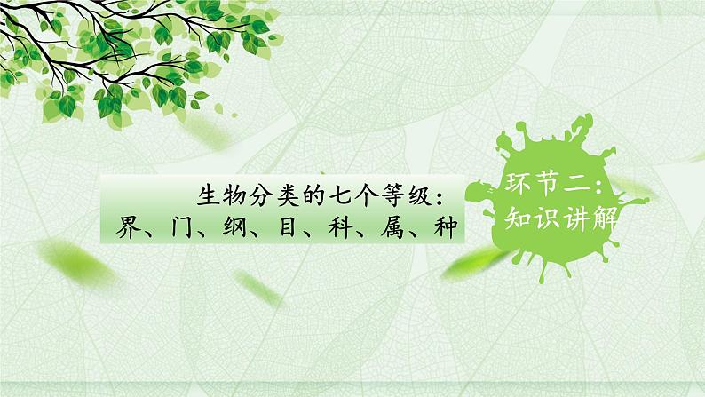 人教版八年级生物上册--1.2从种到界(精品课件)第6页