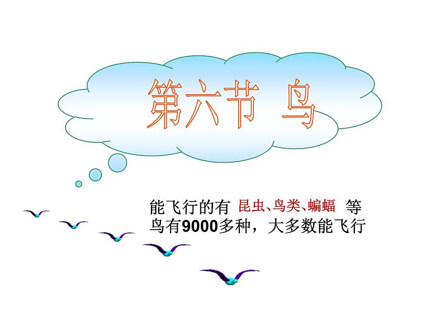 人教版八年級生物上冊--1.6鳥（精品課件1）第1頁