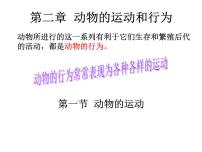 生物八年級上冊第一節(jié) 動物的運動評課ppt課件