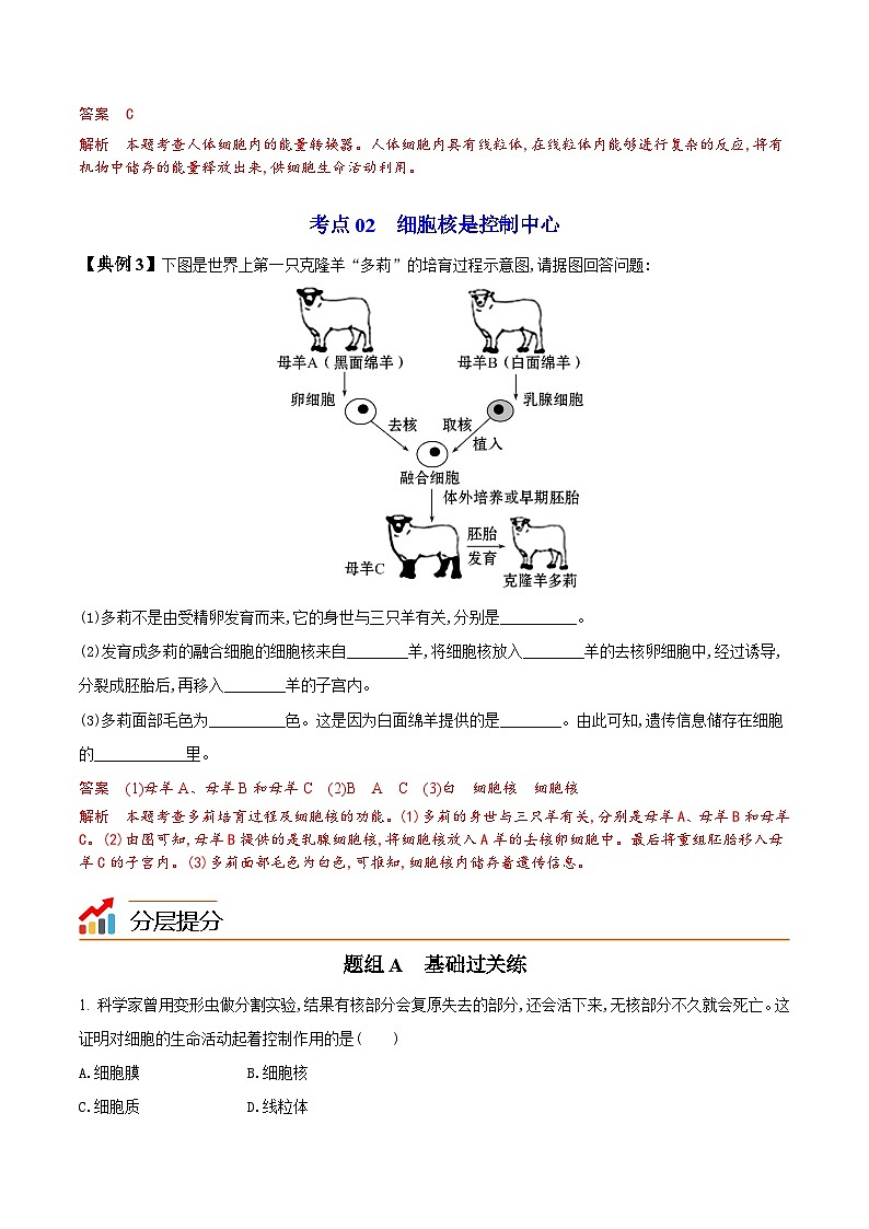 【同步讲义】人教版生物七年级上册--2.1.4《细胞的生活》讲义(解析版)第3页