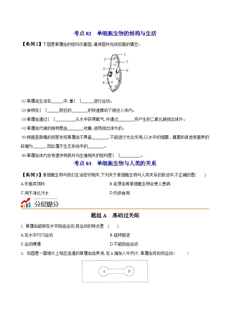 【同步讲义】人教版生物七年级上册--2.2.4《单细胞生物》讲义03