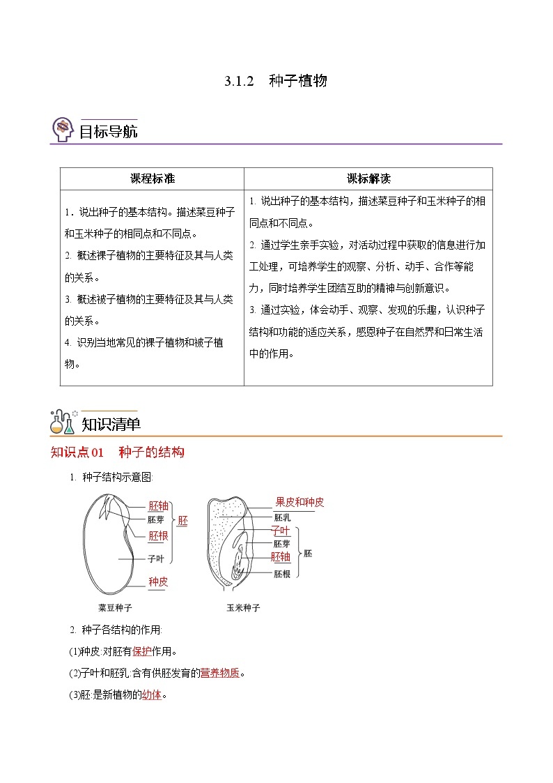 【同步讲义】人教版生物七年级上册--3.1.2《种子植物》讲义01