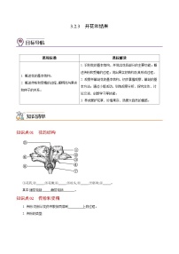 人教版 (新课标)七年级上册第三节 开花和结果精品达标测试