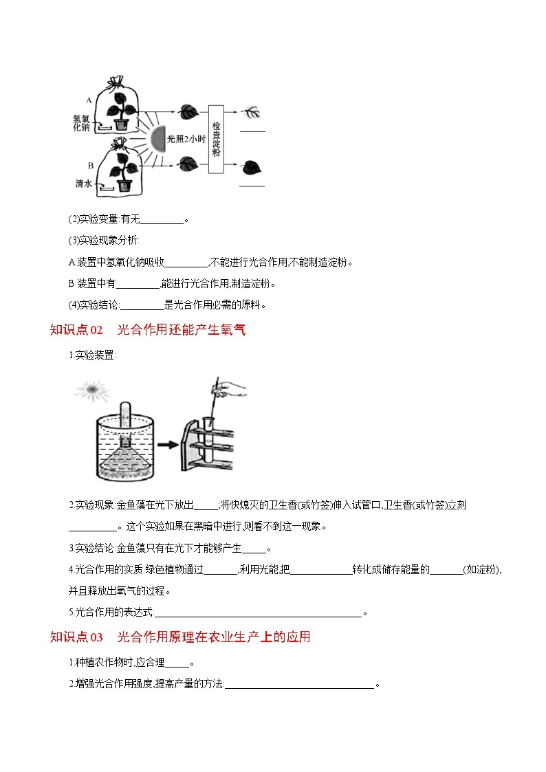 【同步讲义】人教版生物七年级上册--3.5.1《光合作用吸收二氧化碳释放氧气》讲义02