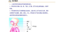 初中生物人教版 (新课标)七年级下册第一节 呼吸道对空气的处理精品课时练习