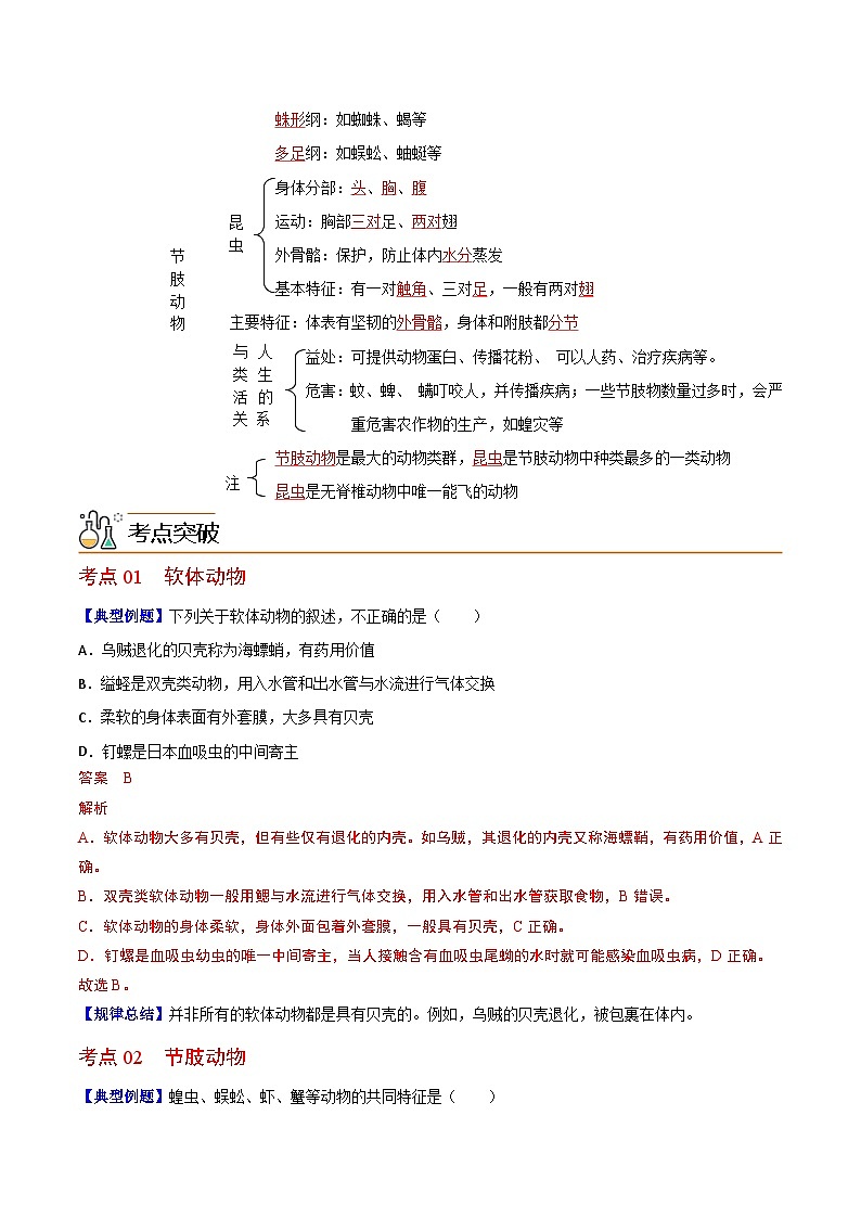 【同步讲义】人教版生物八年级上册第五单元-第一章-第三节《软体动物和节肢动物》讲义02