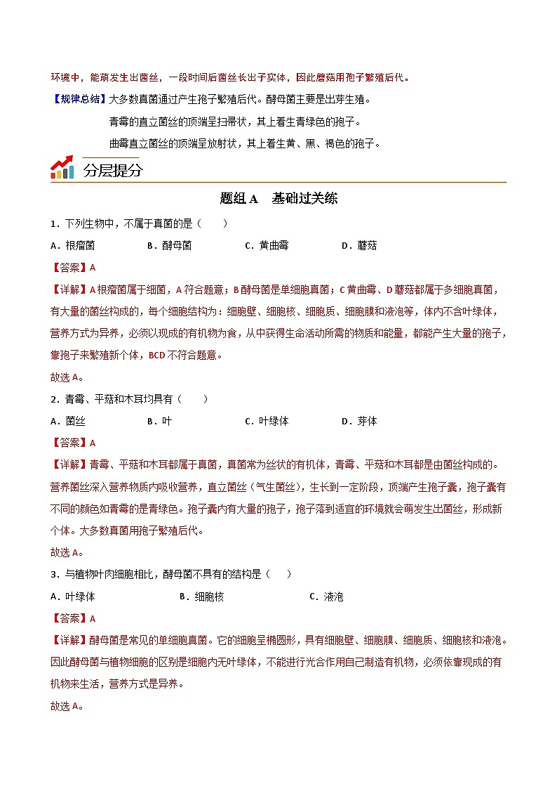 【同步讲义】人教版生物八年级上册第五单元-第四章-第三节《真菌》讲义03