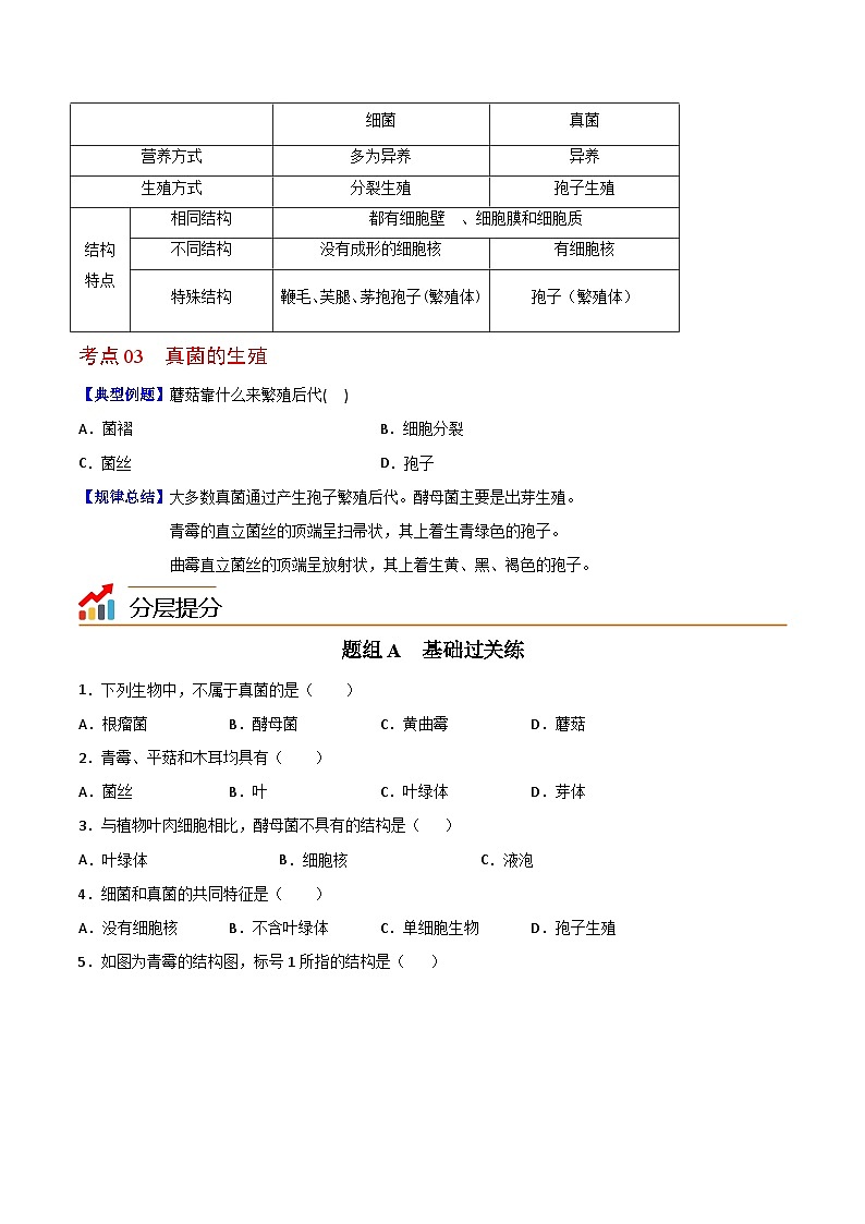 【同步讲义】人教版生物八年级上册第五单元-第四章-第三节《真菌》讲义02