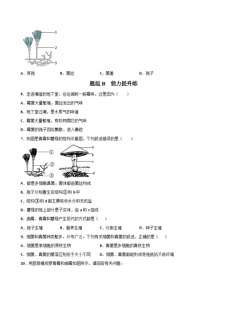 【同步讲义】人教版生物八年级上册第五单元-第四章-第三节《真菌》讲义03
