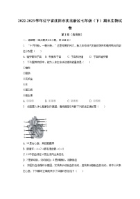 2022-2023学年辽宁省沈阳市沈北新区七年级（下）期末生物试卷（含解析）
