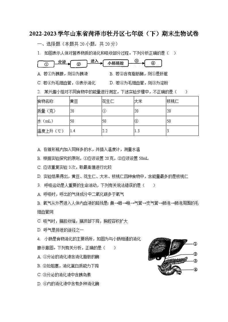 2022-2023学年山东省菏泽市牡丹区七年级(下)期末生物试卷(含解析)第1页