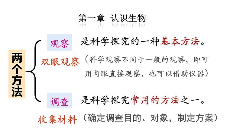人教版七年级生物上册--第一单元 生物与生物圈 单元复习(精品课件)第3页