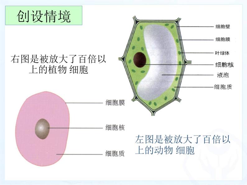 人教版七年级生物上册--2.1.1 练习使用显微镜（精品课件）02