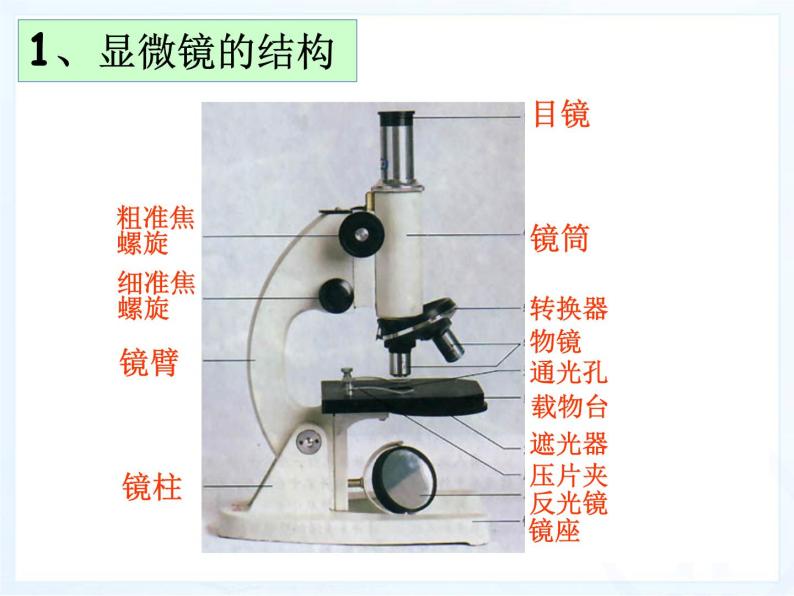人教版七年级生物上册--2.1.1 练习使用显微镜（精品课件）06