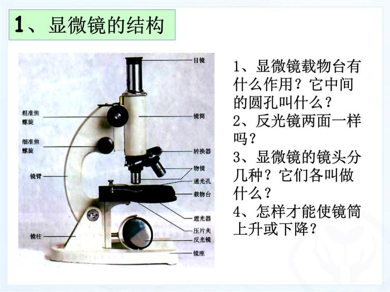 人教版七年级生物上册--2.1.1 练习使用显微镜（精品课件）07