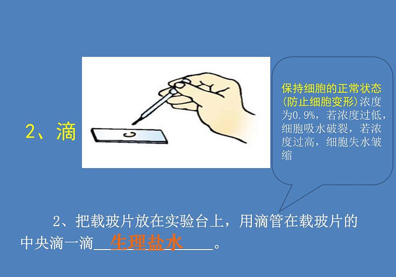 人教版七年级生物上册--第三节 《动物细胞》(精品课件)第6页